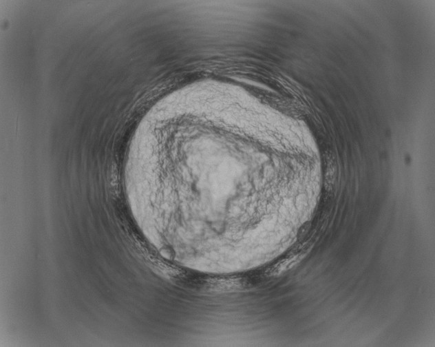 X0000068270469200605191832