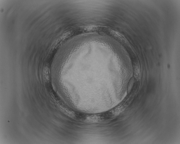 X0000068270470200605191832