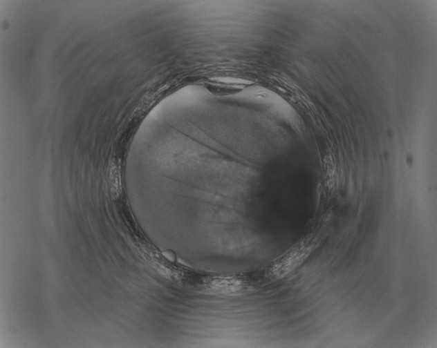 X0000068270471200605191832