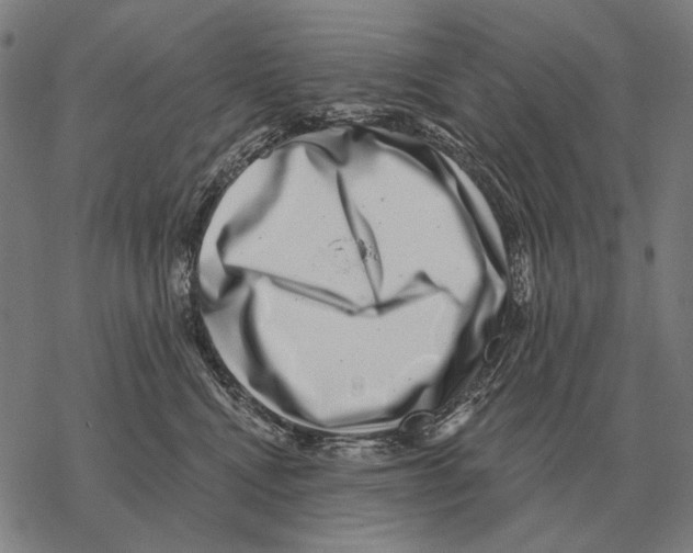 X0000068270472200605191832