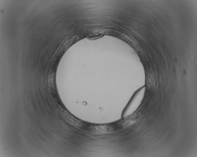 X0000068270473200605191832