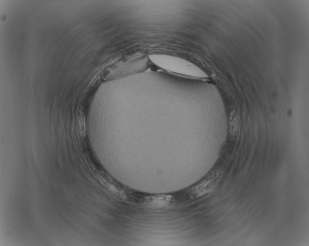 X0000068270474200605191832