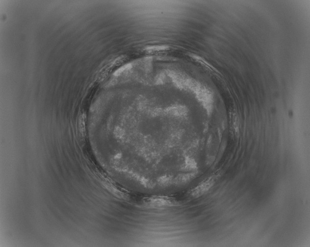 X0000068270475200605191832