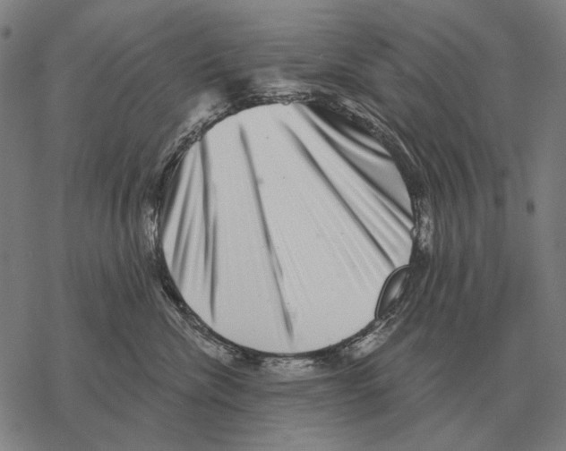 X0000068270476200605191832