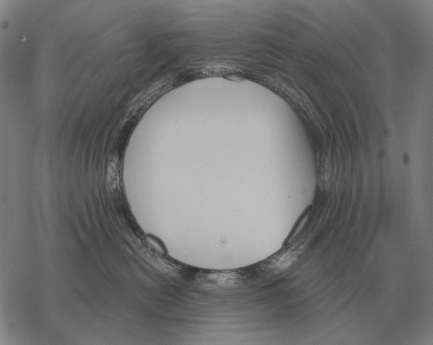 X0000068270478200605191832