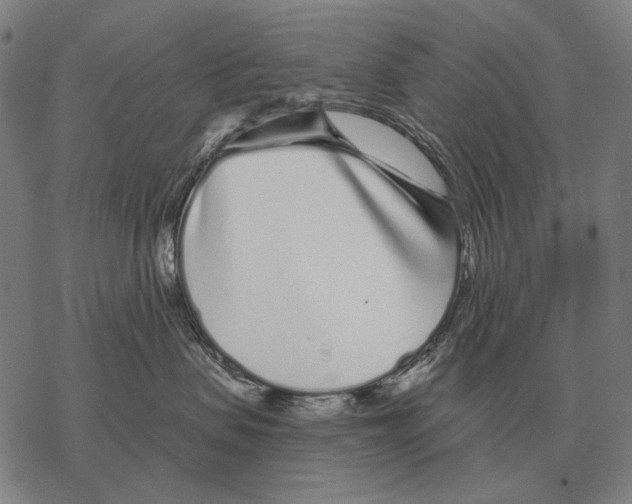 X0000068270479200605191832