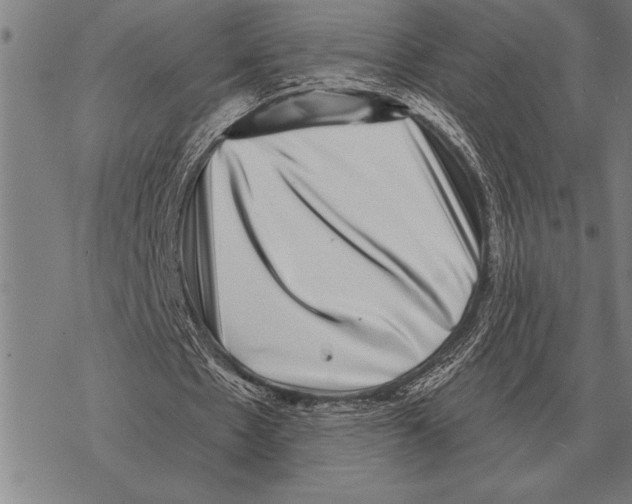 X0000068270481200605191832