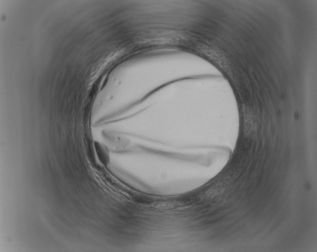 X0000068270482200605191832