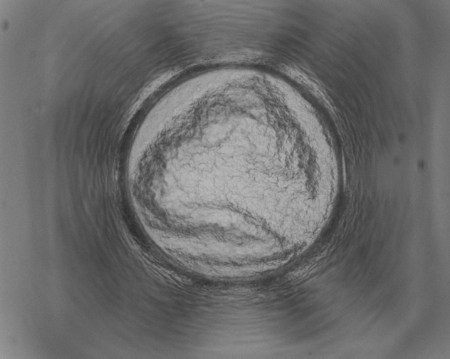 X0000068270483200605191832