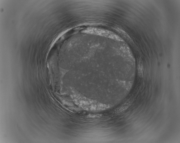 X0000068270484200605191832