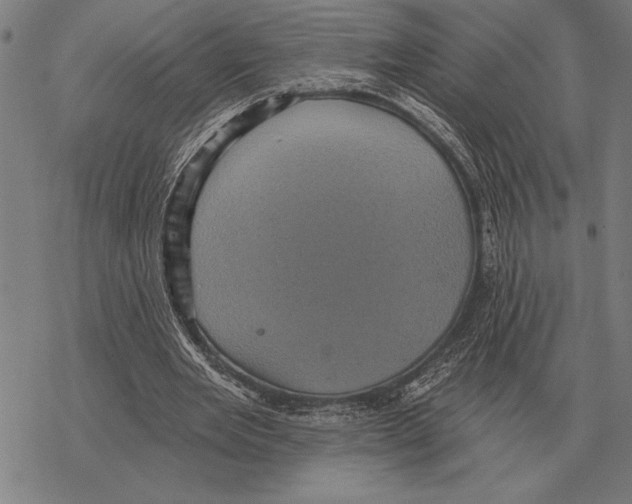 X0000068270485200605191831