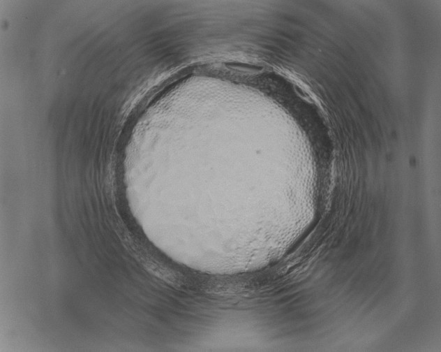 X0000068270487200605191831