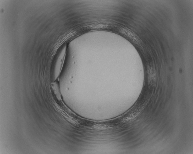 X0000068270490200605191831