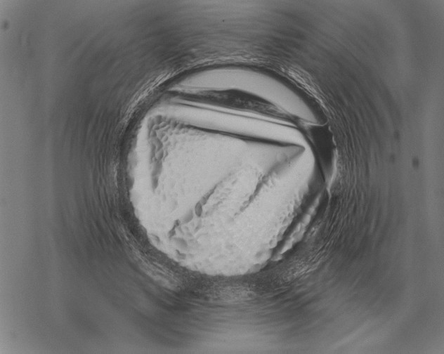 X0000068270491200605191831