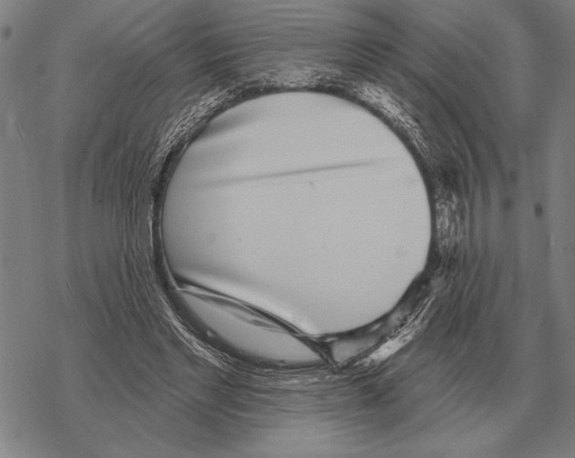 X0000068270493200605191831