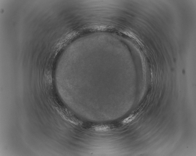 X0000068270500200605191831