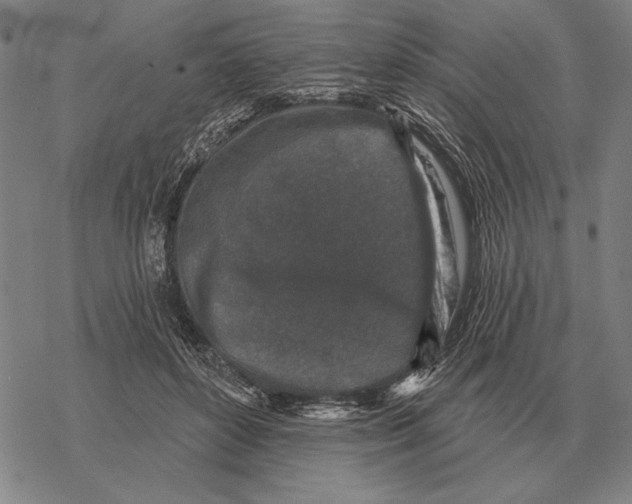 X0000068270504200605191831