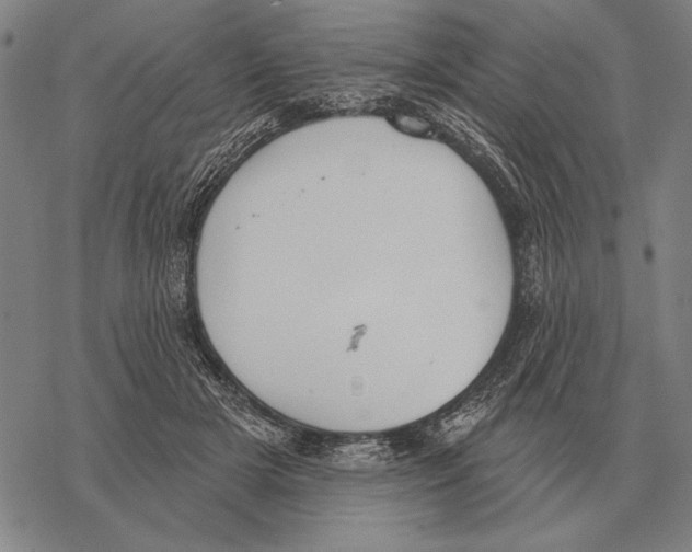 X0000068270505200605191831