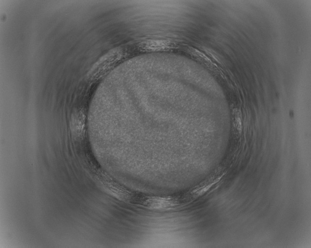 X0000068270507200605191831