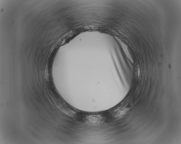 X0000068270508200605191831