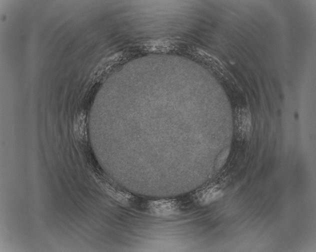 X0000068270511200605191831