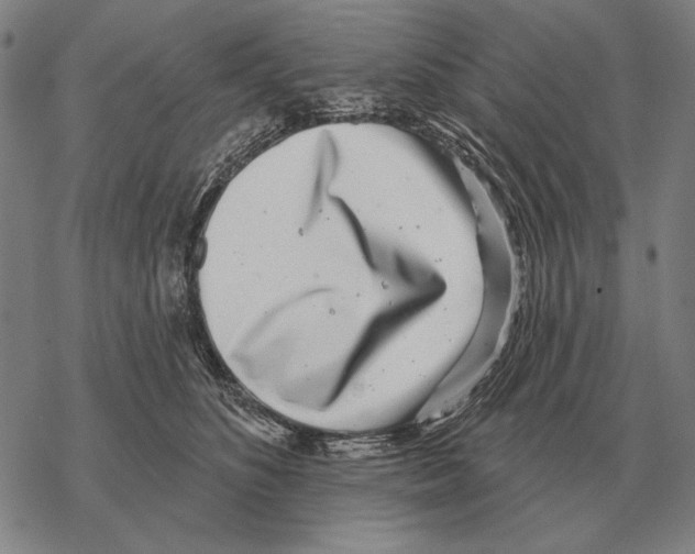 X0000068270516200605191831