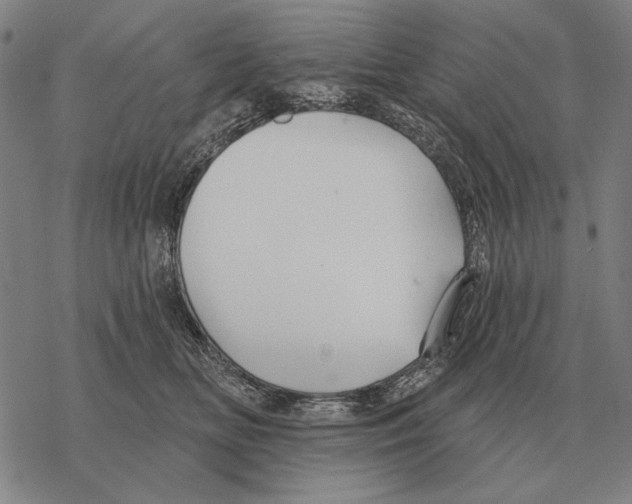 X0000068270518200605191831