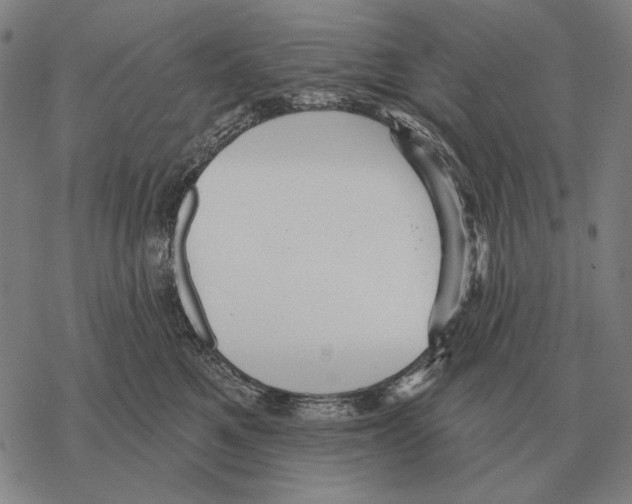 X0000068270521200605191831