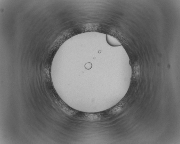 X0000068270522200605191831