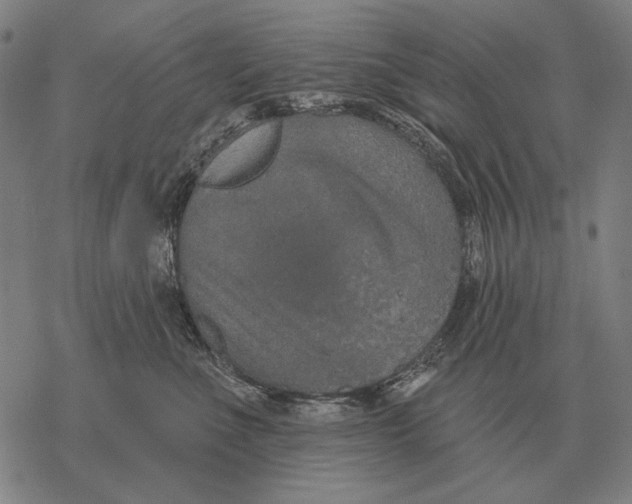 X0000068270523200605191831