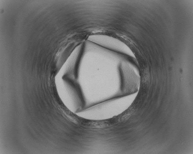 X0000068270524200605191831