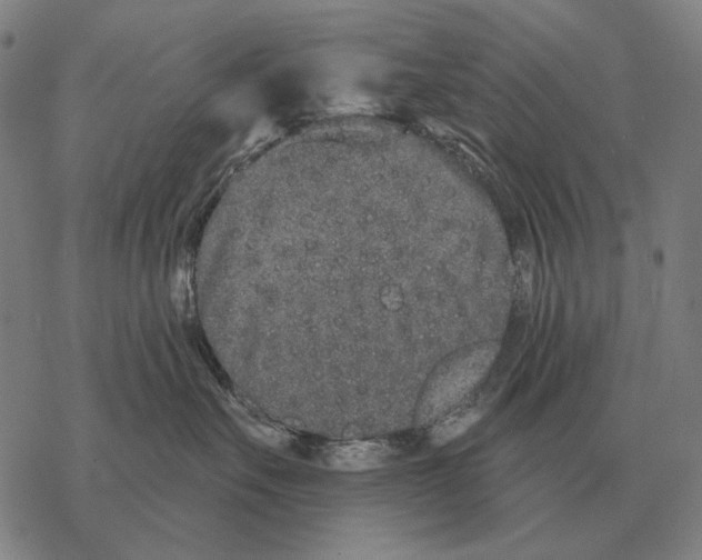 X0000068270527200605191831