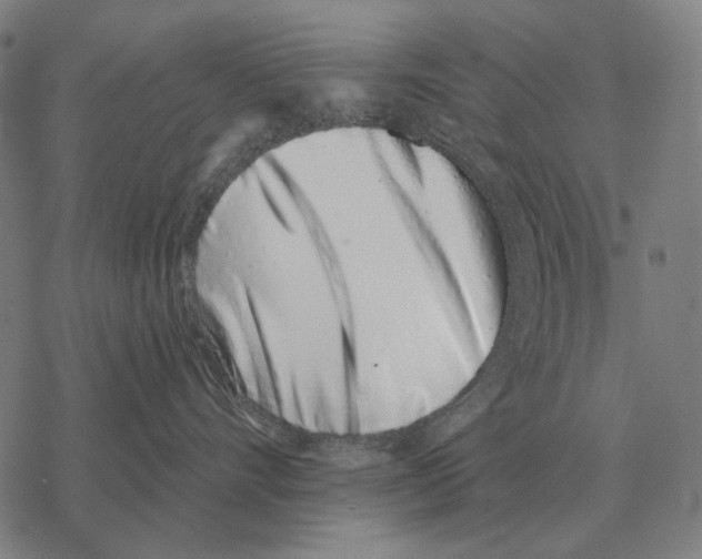 X0000068270528200605191831