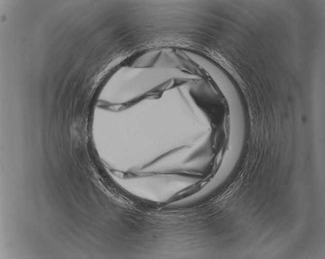 X0000068270530200605191830