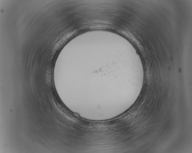 X0000068270533200605191830