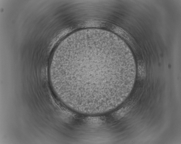 X0000068270534200605191830