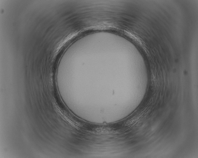 X0000068270535200605191830