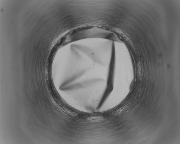 X0000068270536200605191830