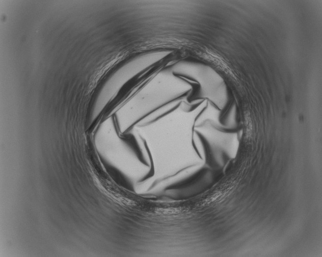 X0000068270538200605191830