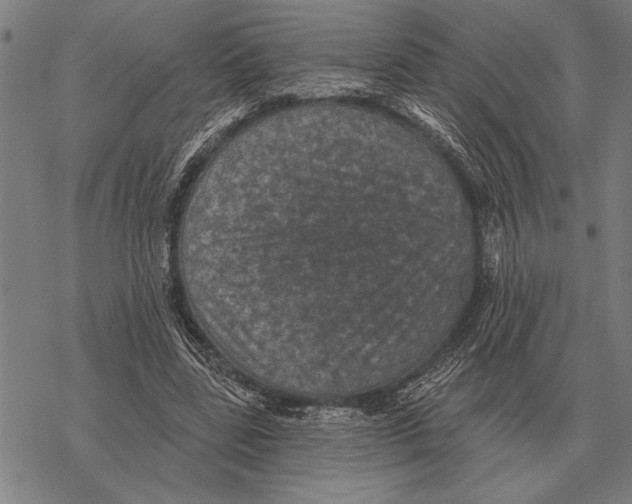 X0000068270539200605191830