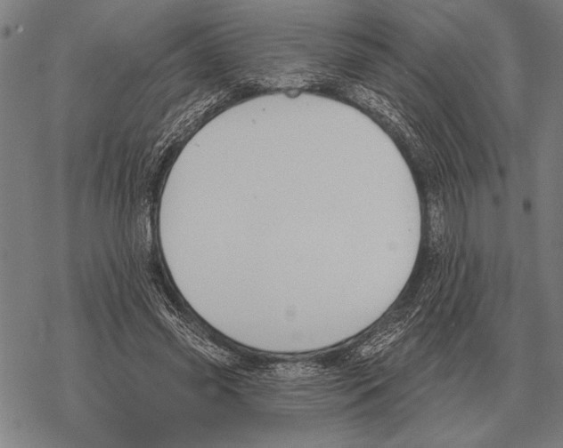 X0000068270541200605191830