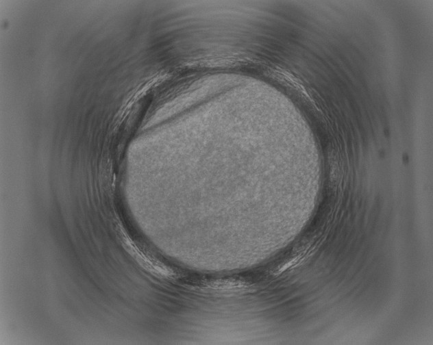 X0000068270542200605191830