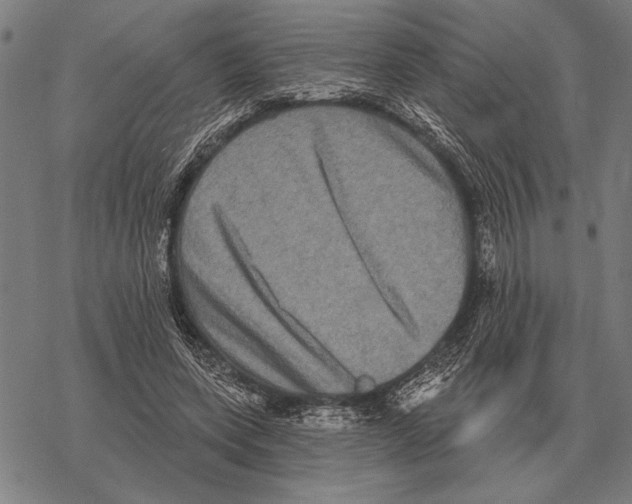 X0000068270543200605191830