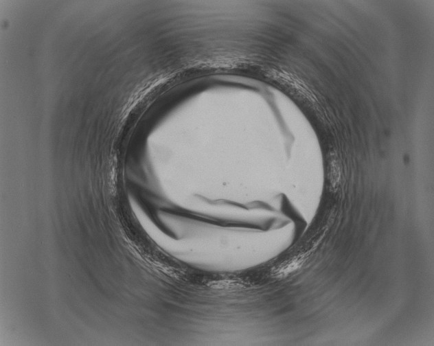 X0000068270544200605191830