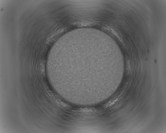 X0000068270545200605191830