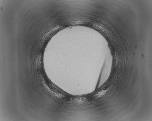 X0000068270546200605191830