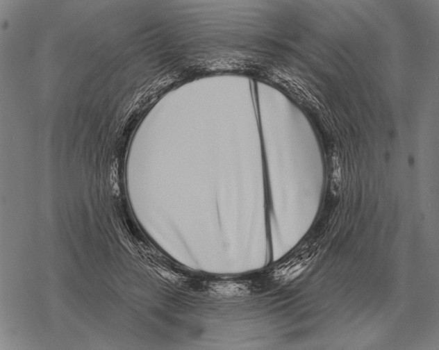 X0000068270547200605191830