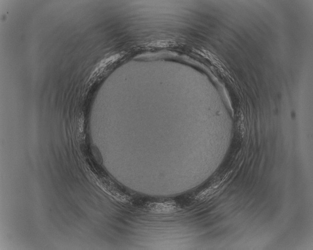 X0000068270548200605191830