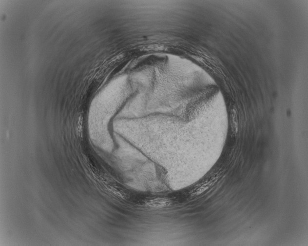 X0000068270551200605191830