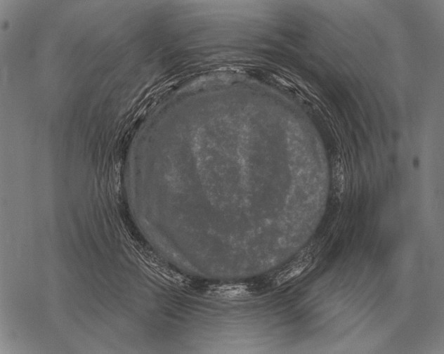 X0000068270554200605191830